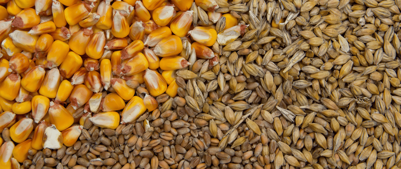 Key Raw Materials for Sustainable Animal Feed Production