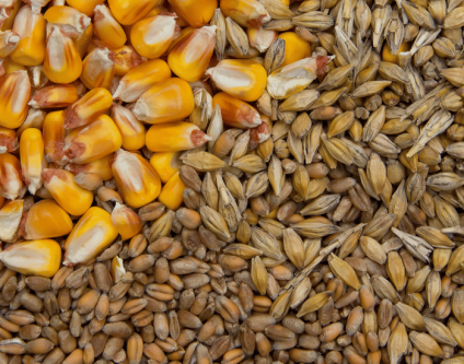 Key Raw Materials for Sustainable Animal Feed Production