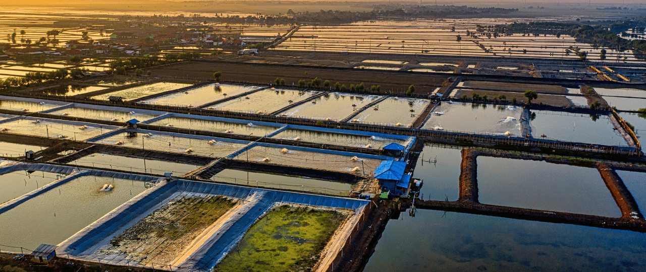 Global Trends in Aquaculture and Agricultural Supply Chains