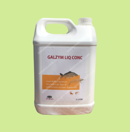 GALZYM LIQ CONClight Yellow